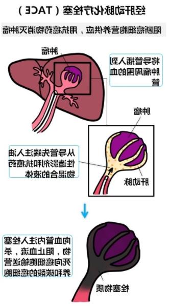 图片86.jpg